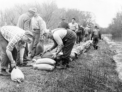 flood195116
